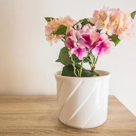 Central Guesthouse 3* Ponta Delgada