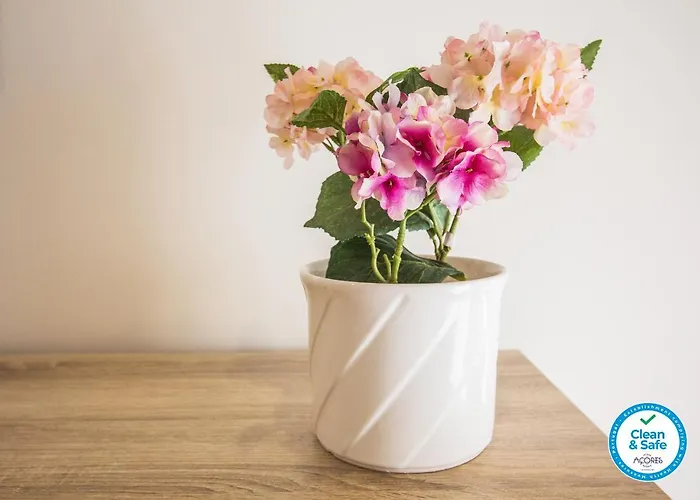 Central Guesthouse 3* Πόντα Ντελγκάντα